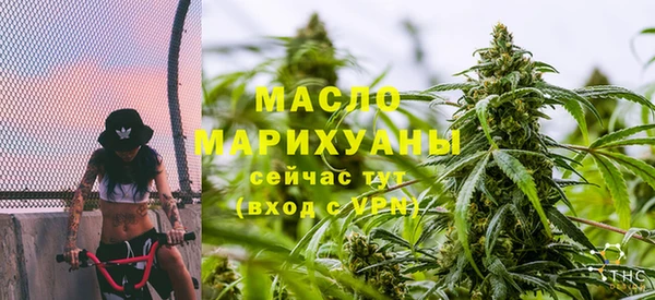 ECSTASY Алзамай