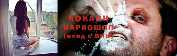 ECSTASY Алзамай