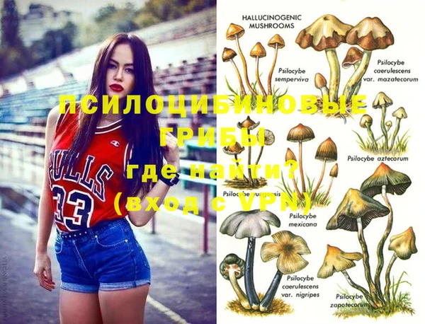 прущая мука Алексин