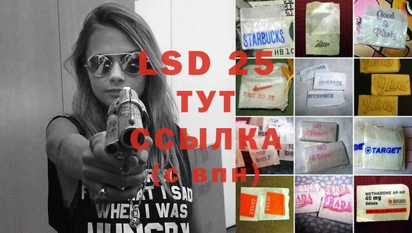 ECSTASY Алзамай