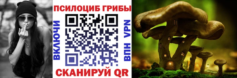 гидра рабочий сайт Котово Галлюциногенные грибы мухоморы